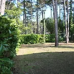 Villa With An Amazing Garden