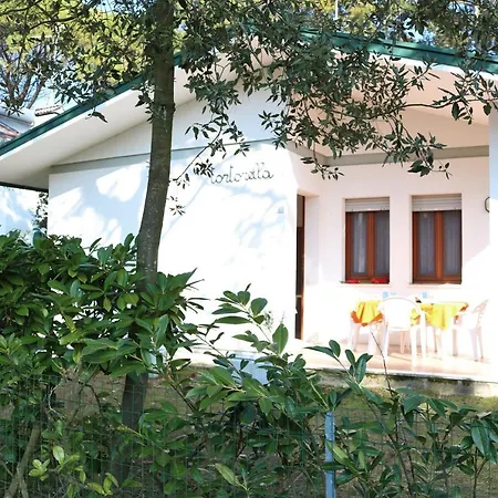 With An Amazing Garden Bibione