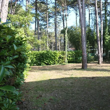 Villa With An Amazing Garden