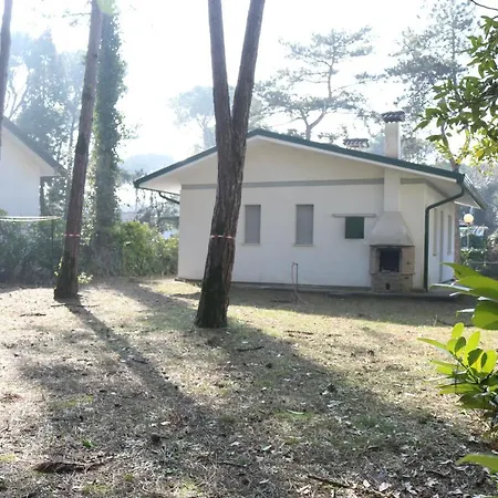 With An Amazing Garden Bibione