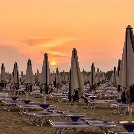 With An Amazing Garden Bibione