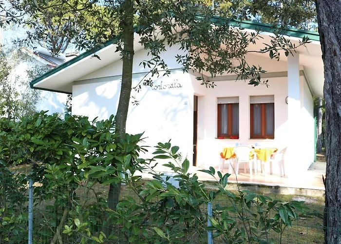 With An Amazing Garden Bibione