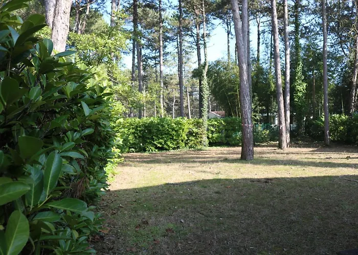 Villa With An Amazing Garden