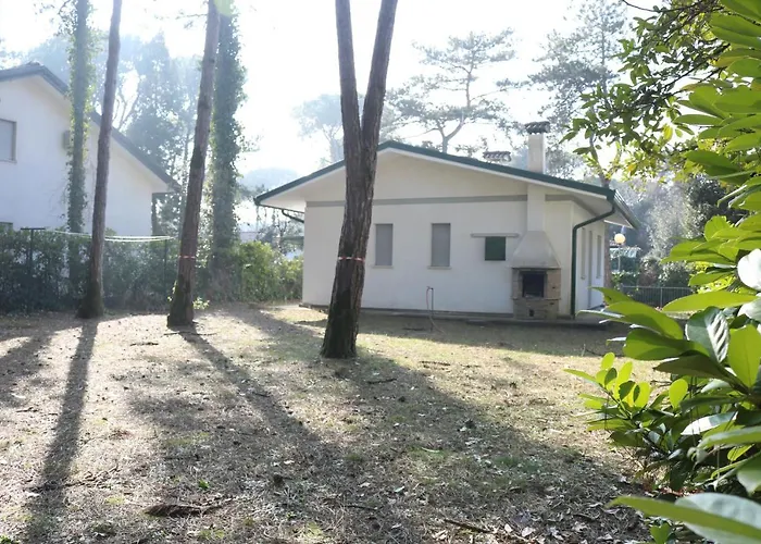 With An Amazing Garden Bibione